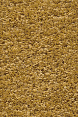 Ковролин AW Devotion 50 фото 1 | FLOORDEALER